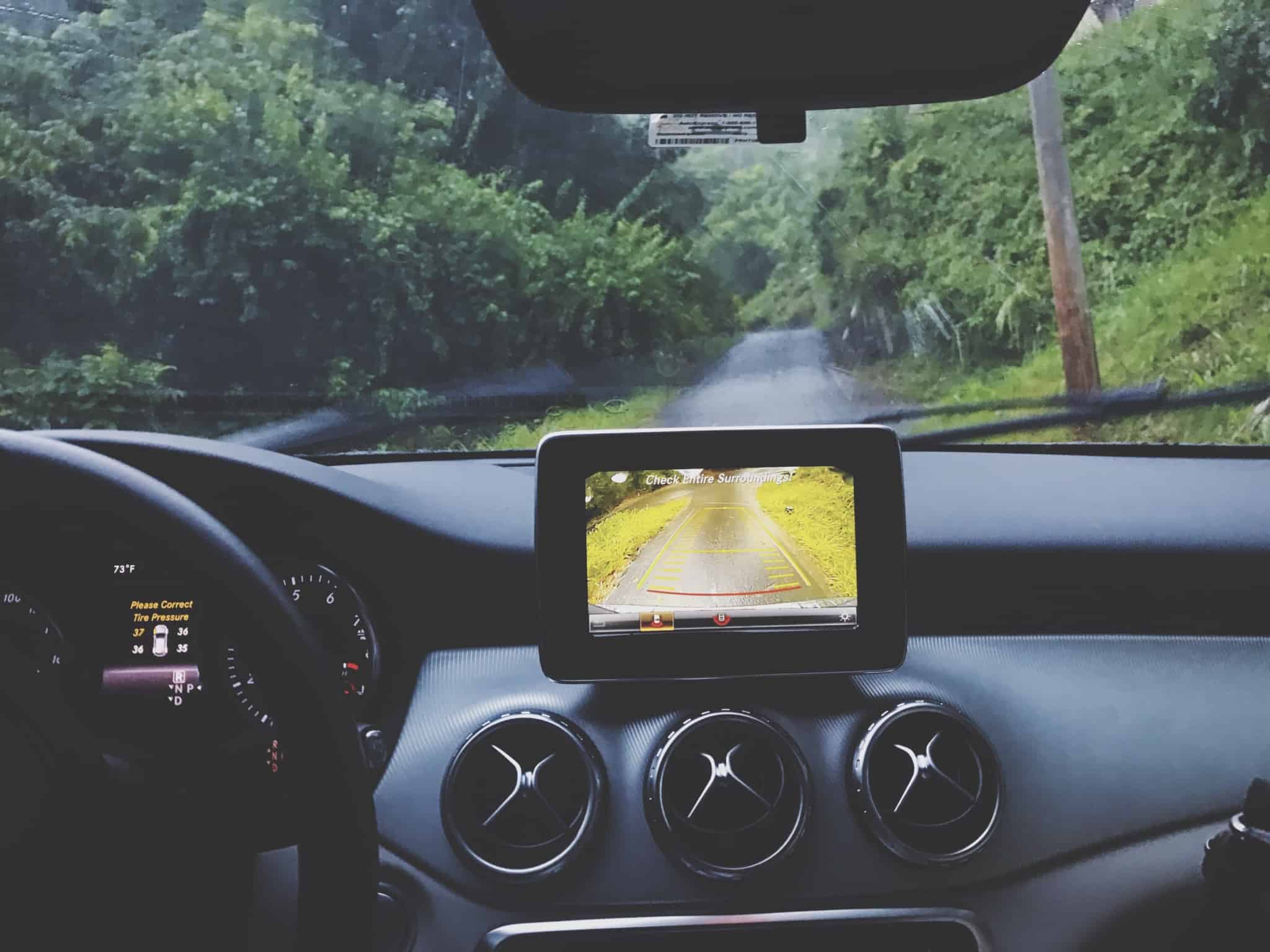 carro a andar numa estrada no bosque