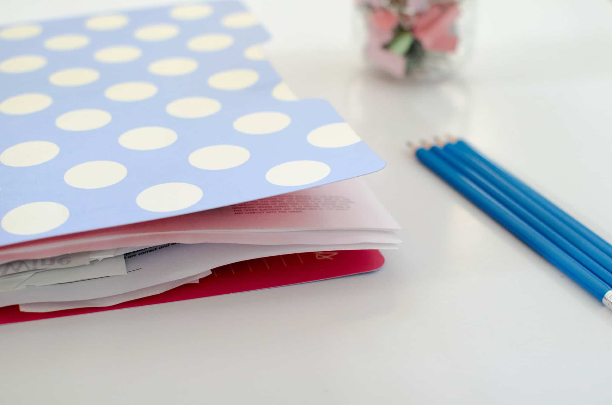 pasta azul com bolinhas brancas com folhas lá dentro