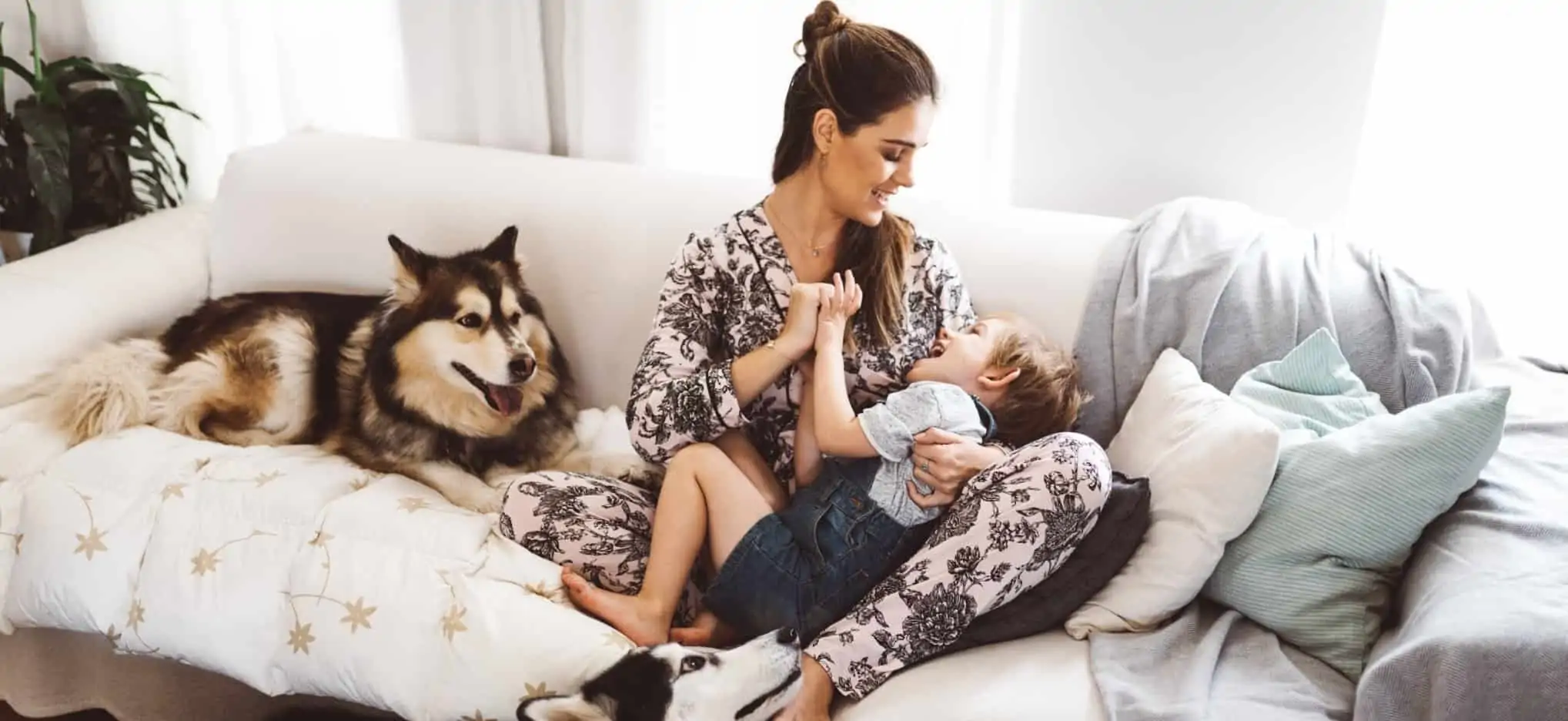 Famílias monoparentais: Os direitos no trabalho e que apoios existem Mãe com filho e cães