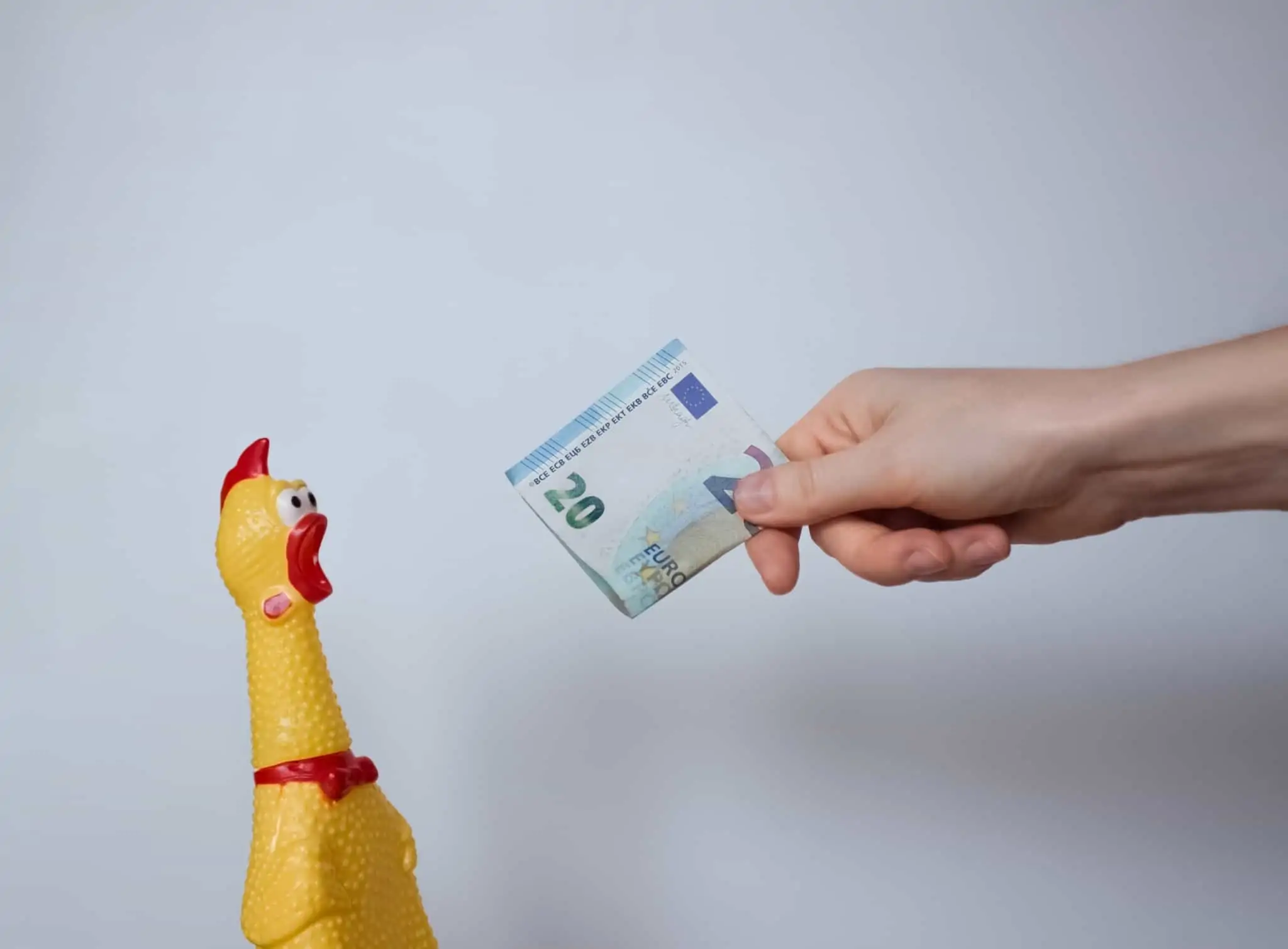Provérbios financeiros: o que os ditados populares dizem sobre o dinheiro galinha e notas