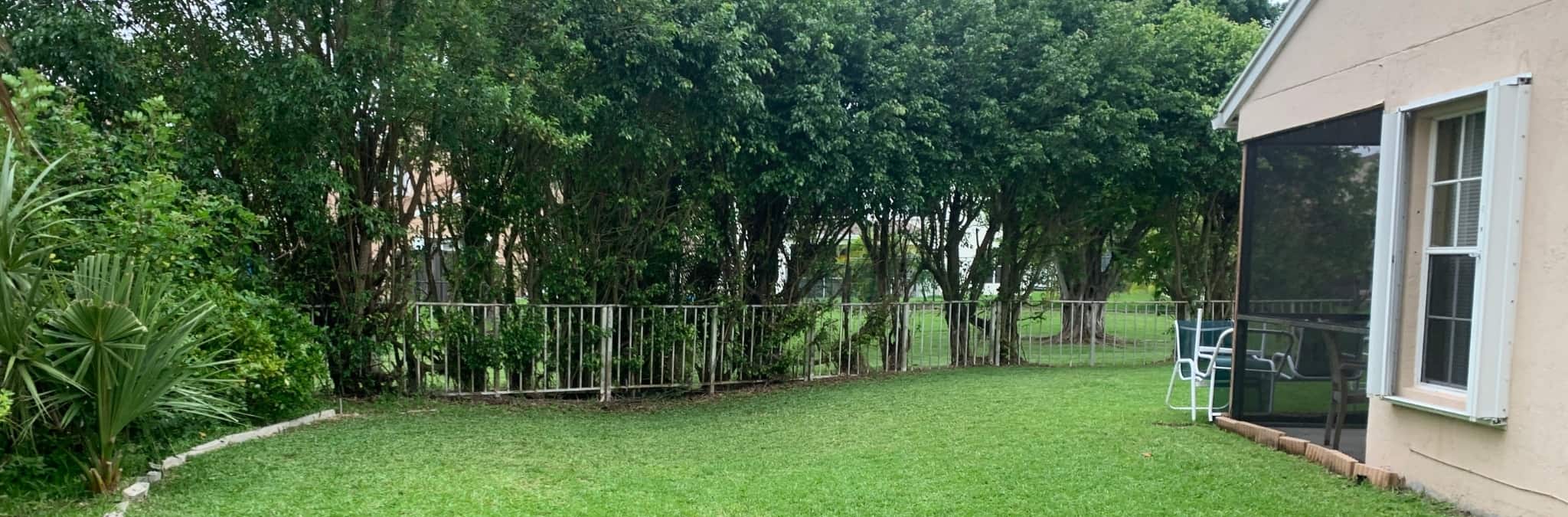 Comprar casa acima de 200.000€? Descubra as melhores condições para o seu caso Jardim de casa