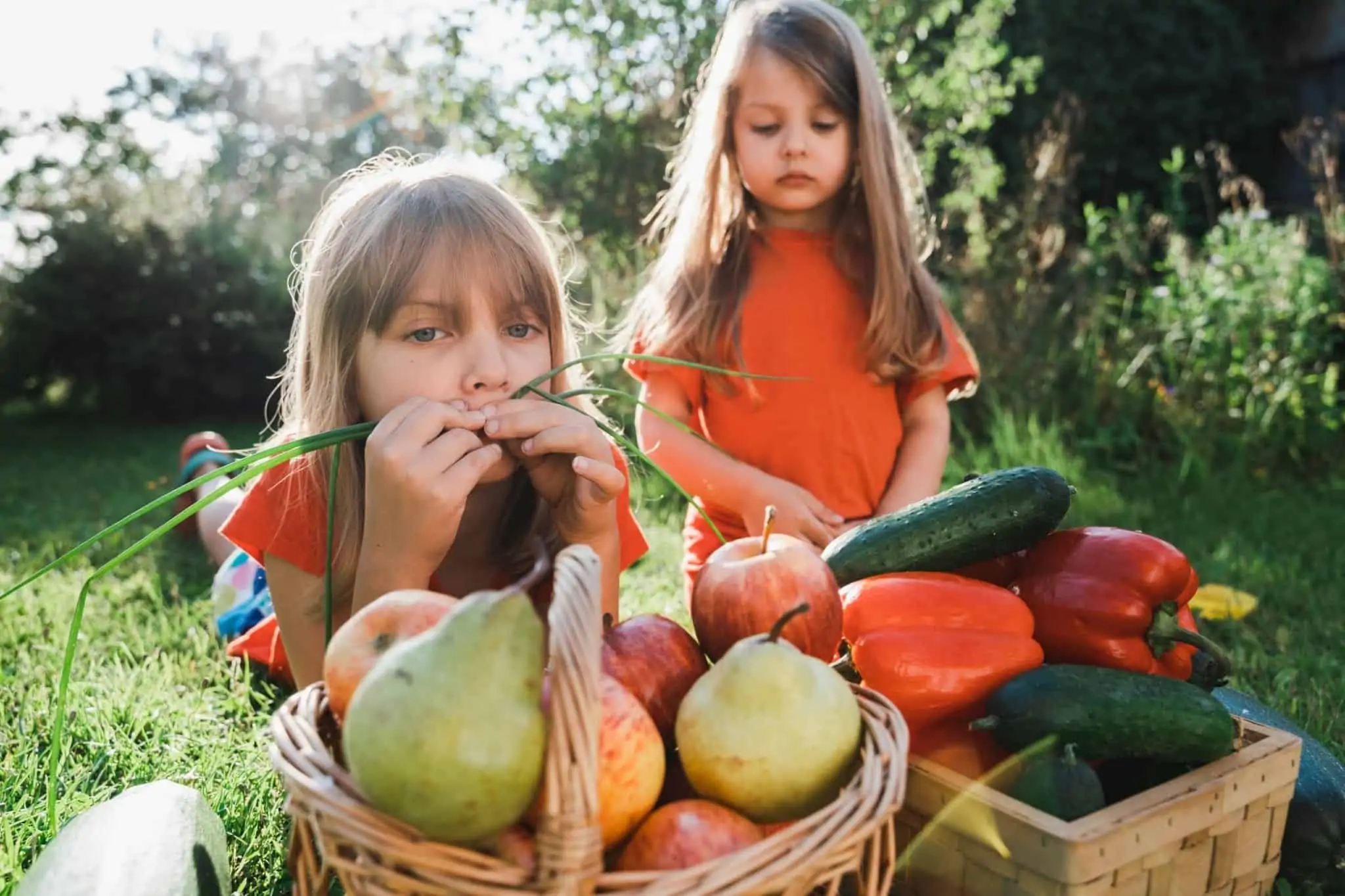 Desperdício alimentar: pode ajudar o ambiente e ainda poupar dinheiro Crianças em frente a cabazes de fruta e legumes a evocar o despedício alimentar