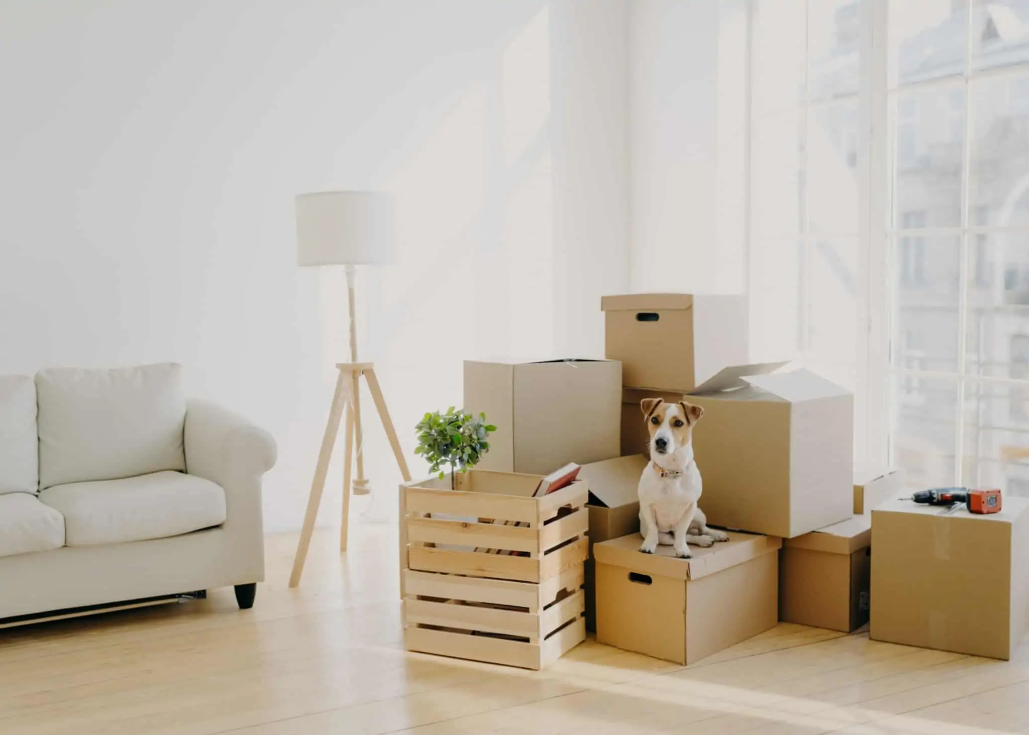 Comprei uma casa, e agora? O que muda na gestão do orçamento Imagem de uma sala onde se pode ver caixas - comprar casa - mudanças - sair de casa