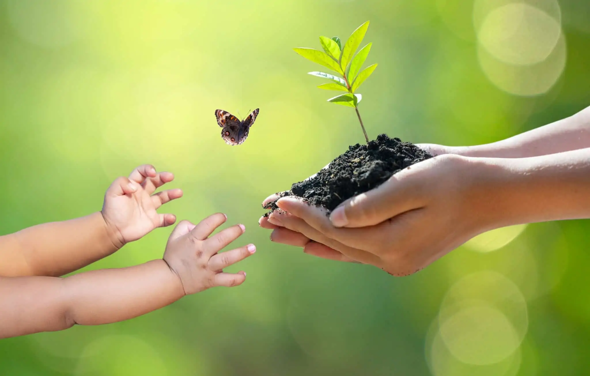 Sustentabilidade: Sabe mesmo o que é? Vai muito além do ambiente produção fotográfica ilustrativa. Fundo verde e o foco numas mãos de adulto com um punhado de terra na direção de mãos de uma criança