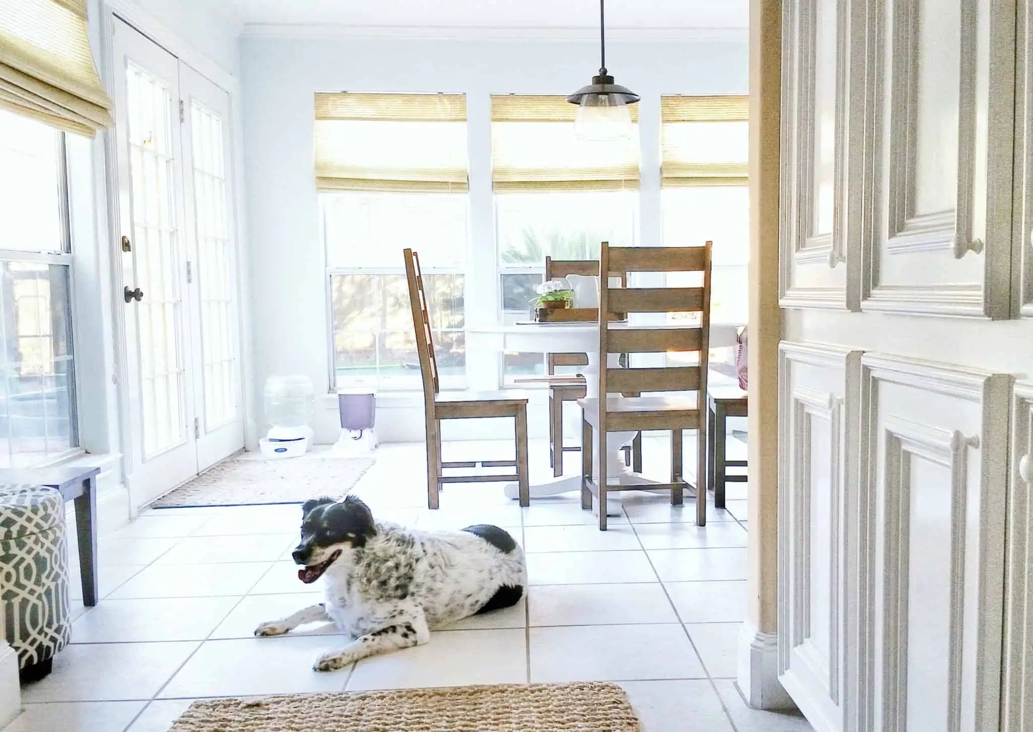 Como pode uma casa organizada ajudar a aliviar a sua carteira corredor de acesso a um espaço de cozinha muito organizado e limpo e com uma forte luz natural, com um cão deitado logo à entrada