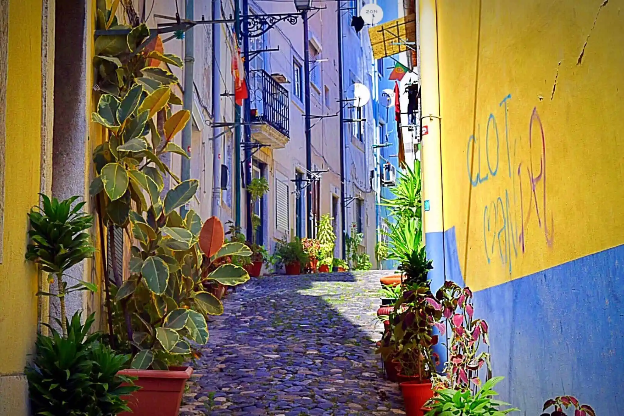 IMI a triplicar para casas devolutas: Saiba em que autarquias se aplica rua de bairro típico de Lisboa com casas devolutas que pagam IMI a triplicar
