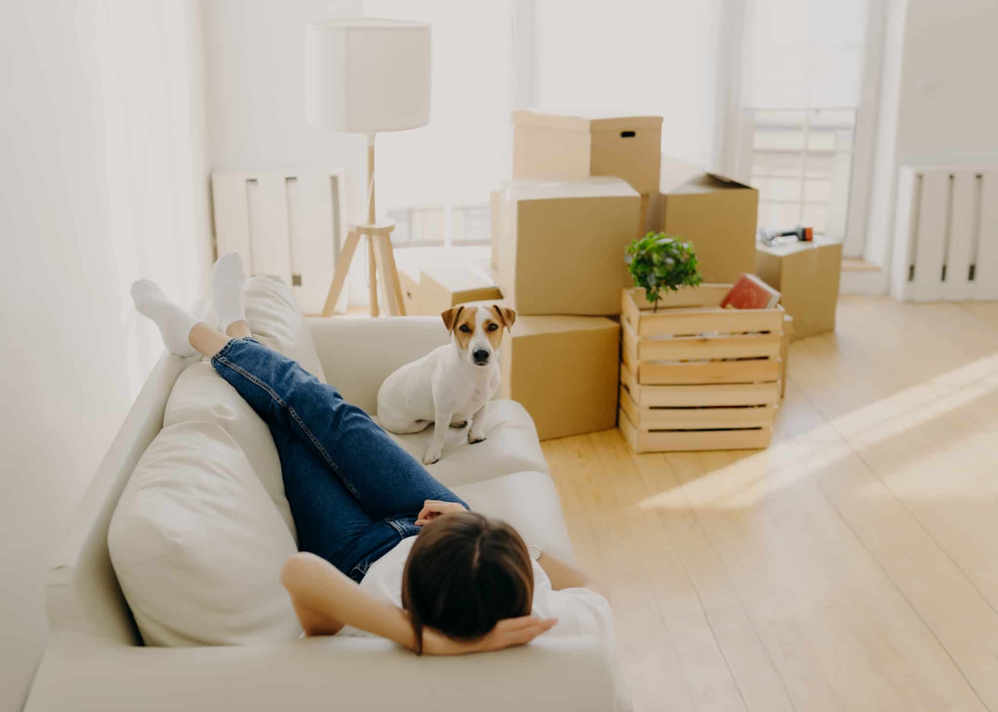 Existe um momento ideal para comprar casa? 6 razões para avançar jovem mulher, deitada no sofá que partilha com o seu cão, descansa e contempla a casa acabada de comprar, com um grupo de caixas ainda por organizar na mudança