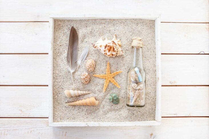 caixa de madeira com areia da praia, conchas, búzios e outros elementos relacionados com a praia e as férias de verão