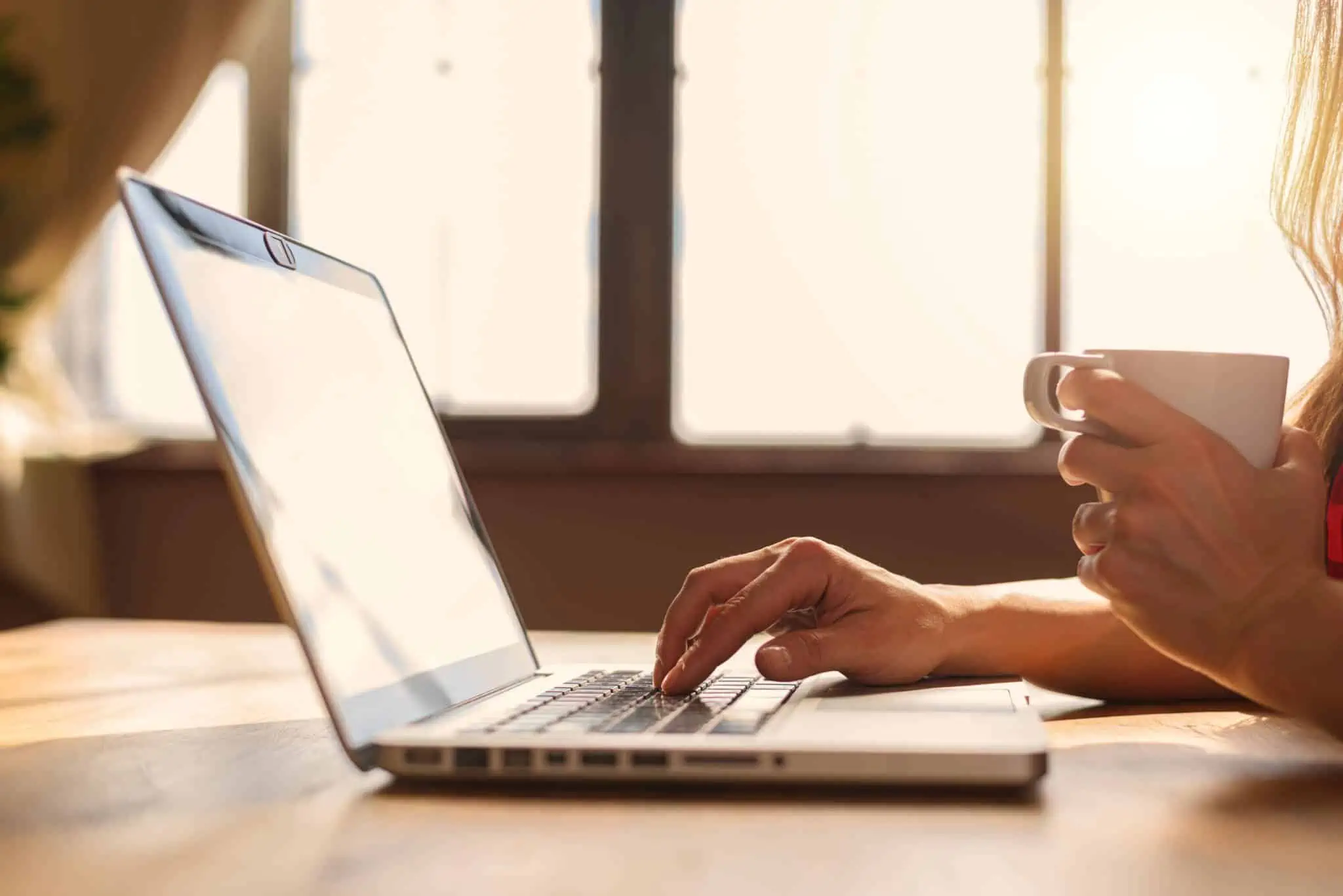 Como reduzir a contribuição da Segurança Social dos trabalhadores independentes em contraluz, com um sol radiante, as mãos de uma jovem sentada a uma mesa junto a uma janela grande, usa o seu computador portátil usufruindo de teletrabalho