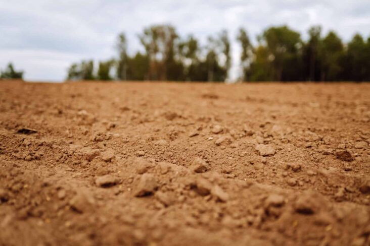 Terreno agrícola focado.