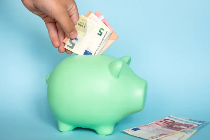 Imagem de notas a serem guardadas num porquinho mealheiro