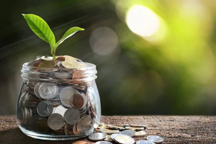 Imagem de moedas dentro de uma jarra, de onde cresce uma planta