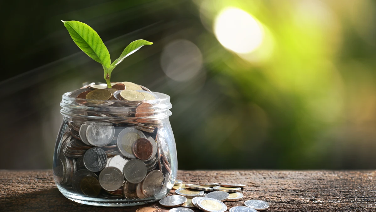 Consumo sustentável: 6 hábitos para poupar a carteira e o planeta Imagem de moedas dentro de uma jarra, de onde cresce uma planta