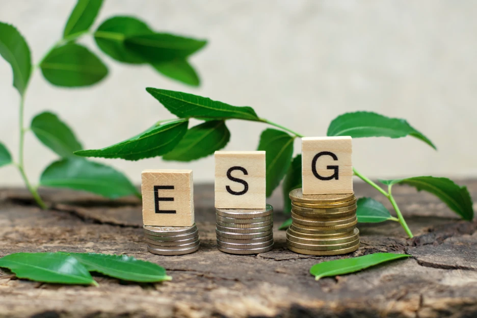 Financiamento para projetos ESG quadriplicou em cinco anos Imagem de blocos com a sigla ESG sobre moedas e folhas