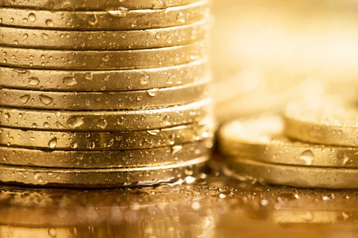 Imagem de moedas molhadas pelas cheias e mau tempo chuvoso