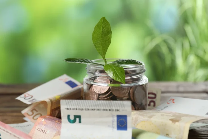 Imagem de notas e moedas num ambiente de crescimento