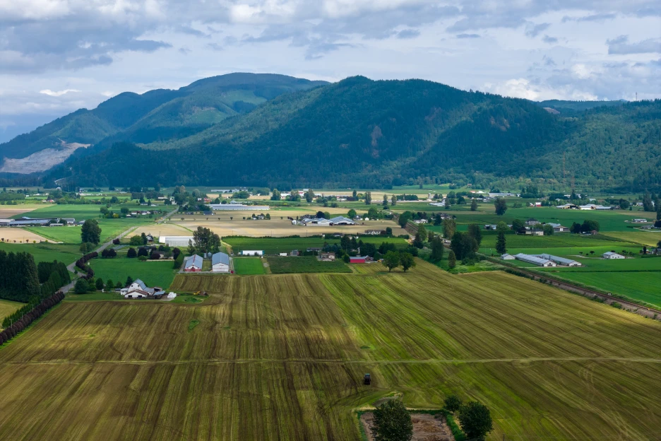 Terreno misto: O que é, quando permite construir e como afeta o crédito Imagem de um terreno misto